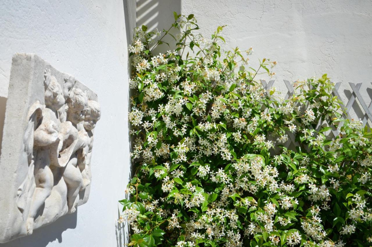 Luxury Apartment Pantheon Roma Esterno foto