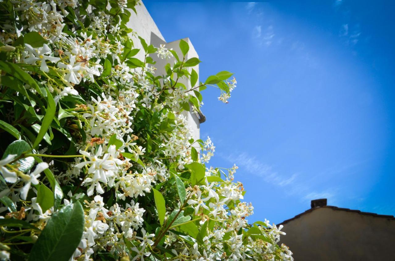 Luxury Apartment Pantheon Roma Esterno foto